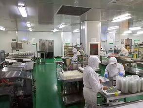 星启之能 仟吉 眼界决定世界