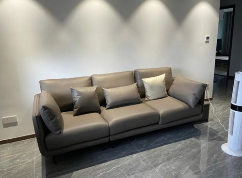 中国新的家具冠军 登上销售榜之首,沙发单品一年卖出4万多件